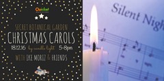 carols by candle light Ike Moriz xmas crooner cape town Secret botanical garden xmas crooners and carols by candle light with Ike Moriz and friends constantia cape Town swing quintango christmas 